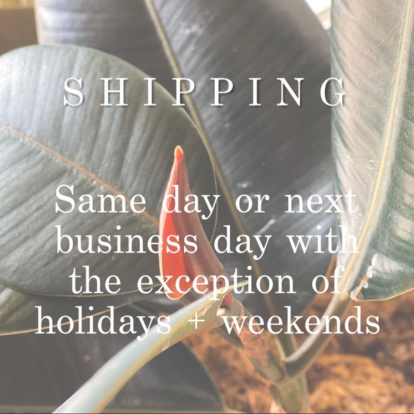 About Bungalow 3220 - Picture 5 of 6